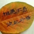 小华883