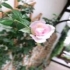 韩茜HanXi