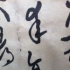 蚂蚁刘
