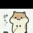 山～奇