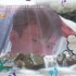 心不动