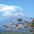 吟千殇