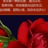 回忆139
