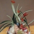 刘红年