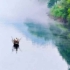 低调786