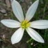 。。。‘ltw