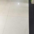 顾不上