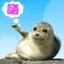 顺其自然573