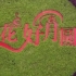 我的苦恼