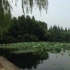 珊瑚海柯