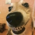 勇敢一点