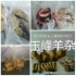 快乐行者2016