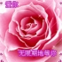 长胜将军