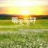 近距离