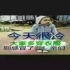 冰雪凤凰波波