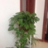 与事无争