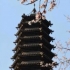 好人966