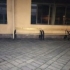 我们的生活品质