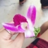 亲爱哈哈
