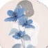 梅朵