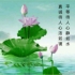 宁静以致电远