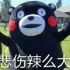 真诚的心