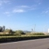 痛苦的领悟1