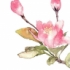 阿军146