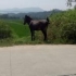 慢友5fMGe5